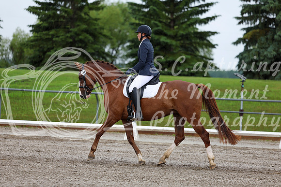 2025 - Dressage Festival - Sunday July 6th - 05233