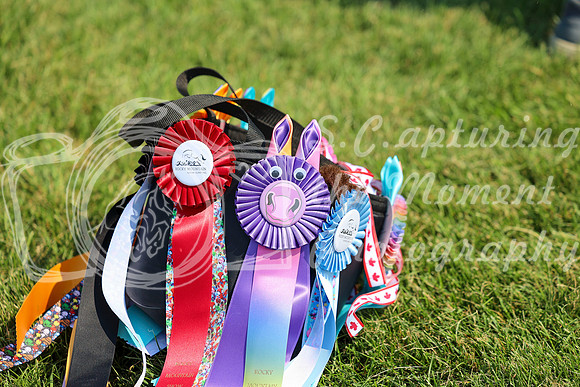14559 - Mara - 2026 Mid-Summer Classic II - Saturday July 16th