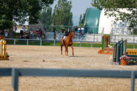 07897 - Shea - 2026 Mid-Summer Classic II - Saturday July 16th