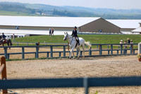 08390 - Shea - 2026 Mid-Summer Classic II - Saturday July 16th
