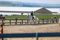 08391 - Shea - 2026 Mid-Summer Classic II - Saturday July 16th