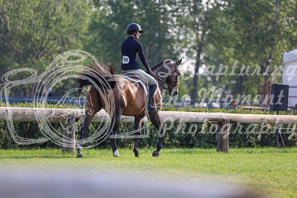 00950 - Shea - 2026 Mid-Summer Classic II - Saturday July 16th