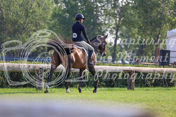 00951 - Shea - 2026 Mid-Summer Classic II - Saturday July 16th