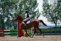 13852 - Alina - 2026 Mid-Summer Classic II - Saturday July 16th