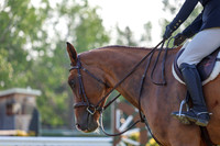 00903 - Shea - 2026 Mid-Summer Classic II - Saturday July 16th