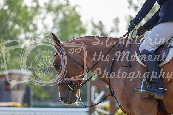 00903 - Shea - 2026 Mid-Summer Classic II - Saturday July 16th