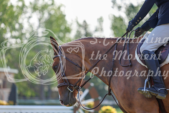 00902 - Shea - 2026 Mid-Summer Classic II - Saturday July 16th