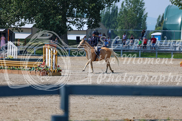08177 - Shea - 2026 Mid-Summer Classic II - Saturday July 16th