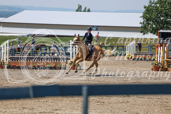 08184 - Shea - 2026 Mid-Summer Classic II - Saturday July 16th