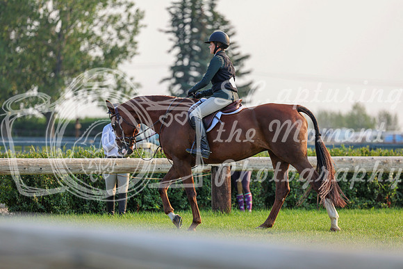 00706 - Shea - 2026 Mid-Summer Classic II - Saturday July 16th