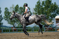 11631 - Alina - 2026 Mid-Summer Classic II - Saturday July 16th
