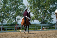11898 - Alina - 2026 Mid-Summer Classic II - Saturday July 16th