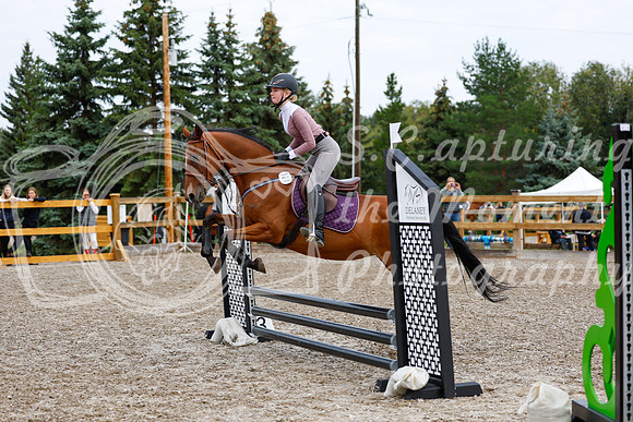 2025 - Haylee - Picco Horse Show - Saturday July 26th 00951