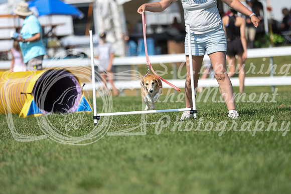 2026 - Mckenna - Jump With Hope - Saturday July 18th - 11697