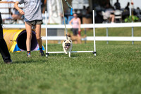 2026 - Mckenna - Jump With Hope - Saturday July 18th - 11700