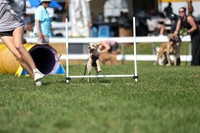 2026 - Mckenna - Jump With Hope - Saturday July 18th - 11701