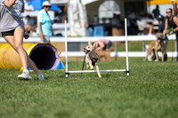 2026 - Mckenna - Jump With Hope - Saturday July 18th - 11702