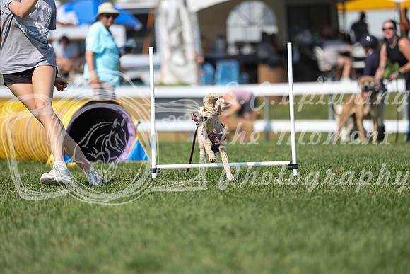 2026 - Mckenna - Jump With Hope - Saturday July 18th - 11702