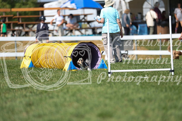 2026 - Mckenna - Jump With Hope - Saturday July 18th - 11704