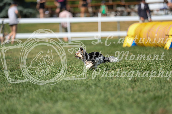 2026 - Mckenna - Jump With Hope - Saturday July 18th - 11707