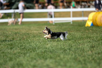 2026 - Mckenna - Jump With Hope - Saturday July 18th - 11708