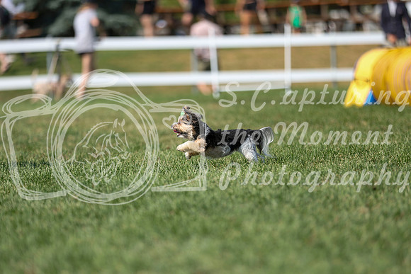 2026 - Mckenna - Jump With Hope - Saturday July 18th - 11708