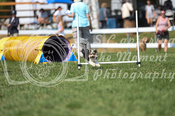 2026 - Mckenna - Jump With Hope - Saturday July 18th - 11705