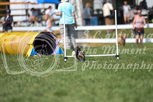2026 - Mckenna - Jump With Hope - Saturday July 18th - 11706