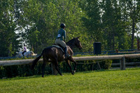 04903 - Alina - 2026 Mid-Summer Classic II - Sunday July 19th