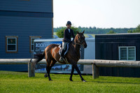 04830 - Alina - 2026 Mid-Summer Classic II - Sunday July 19th