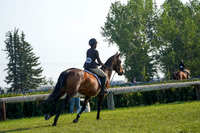 04834 - Alina - 2026 Mid-Summer Classic II - Sunday July 19th