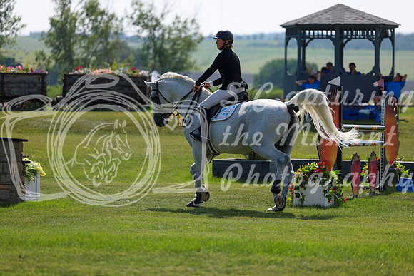 14972 - Shea - 2026 Mid-Summer Classic II - Sunday July 19th