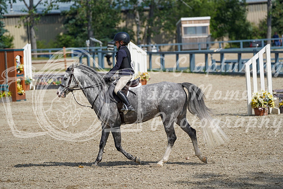 17305 - Alina - 2026 Mid-Summer Classic II - Sunday July 19th