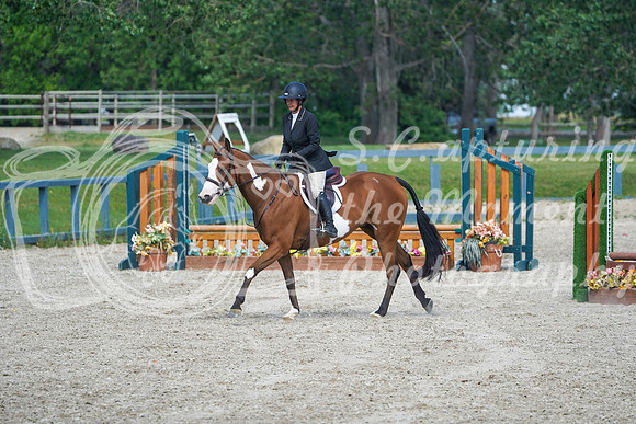 17640 - Alina - 2026 Mid-Summer Classic II - Sunday July 19th