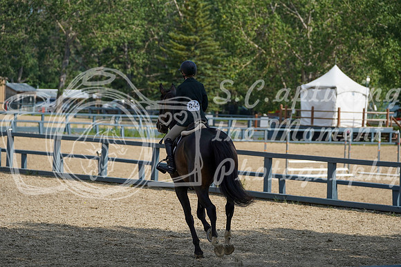 17446 - Alina - 2026 Mid-Summer Classic II - Sunday July 19th