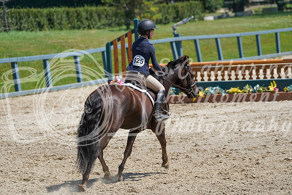 13008 - Alina - 2026 Mid-Summer Classic II - Sunday July 19th