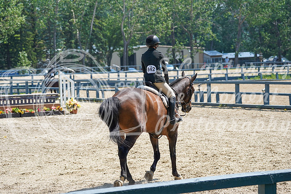 13100 - Alina - 2026 Mid-Summer Classic II - Sunday July 19th