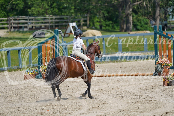 16239 - Alina - 2026 Mid-Summer Classic II - Sunday July 19th