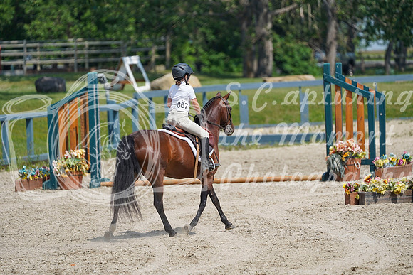 16241 - Alina - 2026 Mid-Summer Classic II - Sunday July 19th