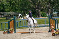 16144 - Alina - 2026 Mid-Summer Classic II - Sunday July 19th
