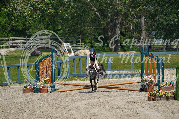16604 - Alina - 2026 Mid-Summer Classic II - Sunday July 19th
