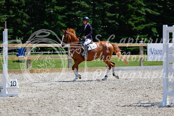 2025 - Haylee - Picco Horse Show - Thursday July 24th 03899