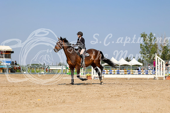 19023 - Mara - 2026 Mid-Summer Classic II - Sunday July 19th