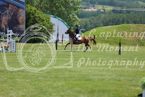 09632 - Shea - 2026 Mid-Summer Classic II - Sunday July 19th
