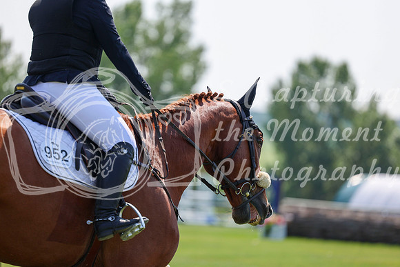 08819 - Shea - 2026 Mid-Summer Classic II - Sunday July 19th