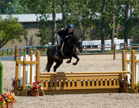 Pony