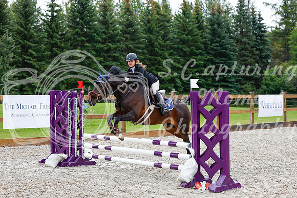 2025 - Haylee - Picco Horse Show - Sunday July 27th 01032