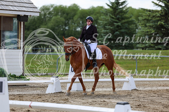 2025 - Dressage Festival - Saturday July 5th - 09608