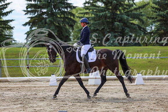 2025 - Dressage Festival - Saturday July 5th - 14800