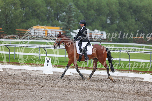 2025 - Dressage Festival - Sunday July 6th - 03003